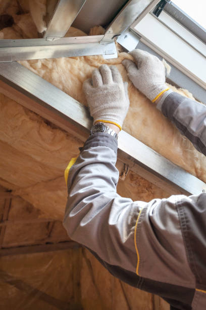 Best DIY Insulation Kits and Guidance in Tennessee Ridge, TN
