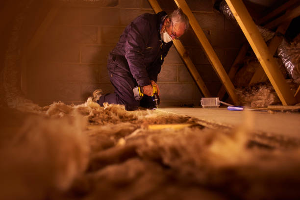 Best Commercial Insulation in Tennessee Ridge, TN